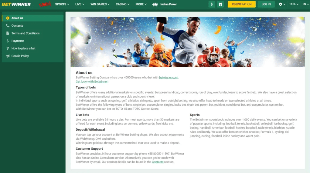 Experience the Thrill of Betwinner Online Bet