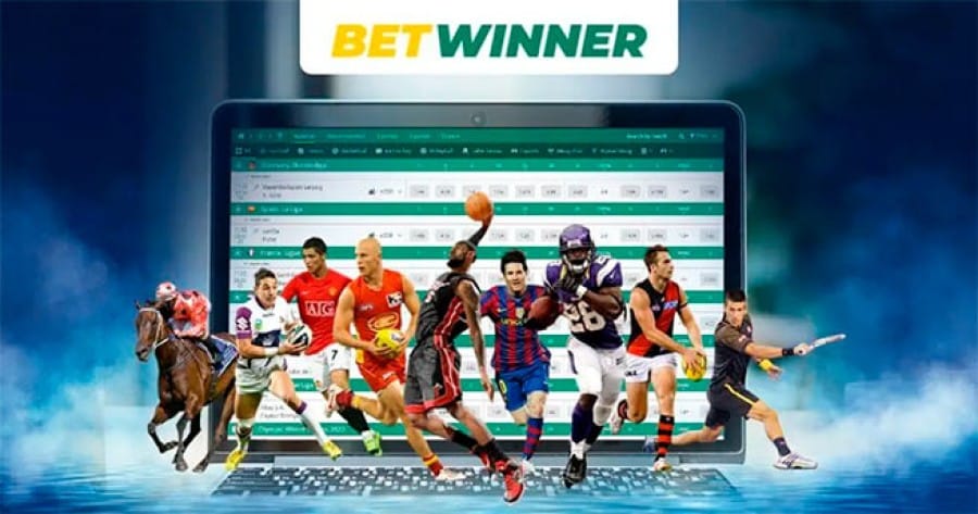 Explore the Betwinner Betting Platform Opportunities and Features
