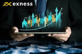 Comprehensive Guide to Exness Web Platform