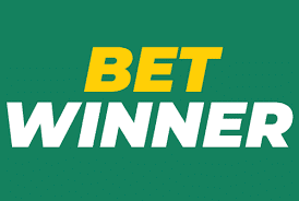 Everything You Need to Know About Deposit Betwinner 7