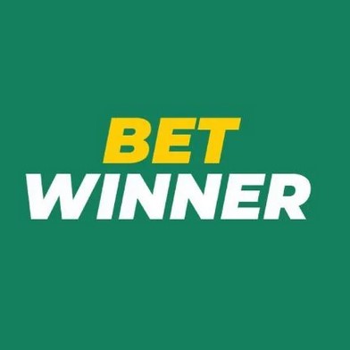 Todo lo que necesitas saber sobre betwinner casino